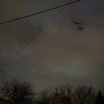 Loc-Dog, PHARAOH - Черные Вороны (Не До Абстракций II)