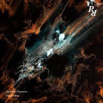 The Palmer Initiative - Her Hidden Diary