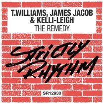 T. Williams, James Jacob, Kelli-Leigh - The Remedy (Radio Edit)