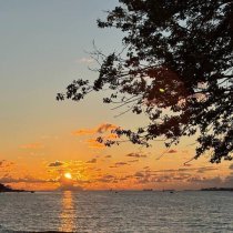 Litera2ra, WhiteBully - Юг