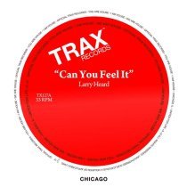 Larry Heard - Can You Feel It (Robert Owens Mix)