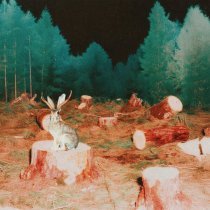 лампабикт - пни