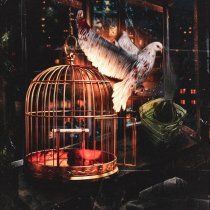 CODE80, молодой калуга - BIRD