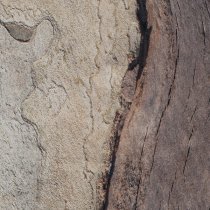 Julien Marchal - Insight XLIX