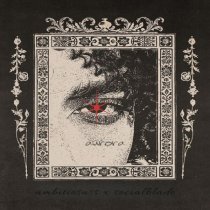 socialblade, ambitiosuss - Aurora