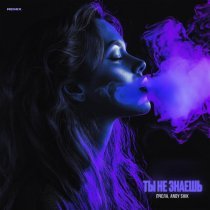 Пчела, Andy Shik - Ты не знаешь (Andy Shik Remix)