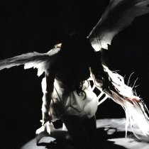 кровь цвета молока, TAKETAKE - котики