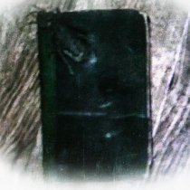 Pittkiid - Обеспечил