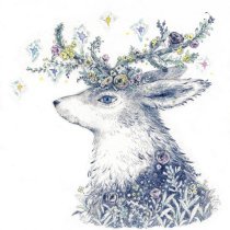 Matt Johnson - Flowers In Their Hair