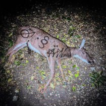 aldn - smile thru it all