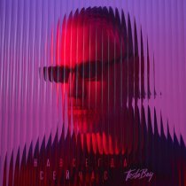 Tesla Boy - Жизнь уходит, чтобы зарабатывать на жизнь