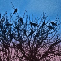 рэ.прэса - завтра