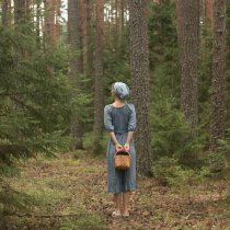 Alexander Demidov - A Saunter Through Woodlands