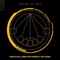Pendulum, Armin Van Buuren, Rob Swire - Sound of You