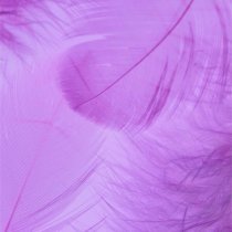 Dabaga - Капля лаванды