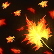 whyparfume, Ruyga - ОШИБКИ ЗА ЛЕТО