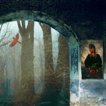 твоя таис - Ни следа