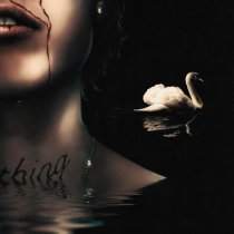 Pepel Nahudi - IDOL TEARS