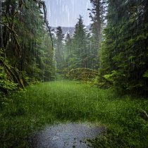 Александр Вольский, Звуки сна Окружающие Шумы - Белый Шум Звук Дождя Шум Дождя Детские Колыбельные Сказки Для Сна