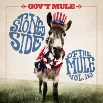 Gov't Mule - Doo Doo Doo Doo Doo (Heartbreaker)
