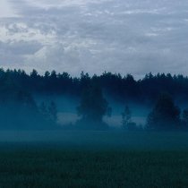 Money Flip - i tried to forget