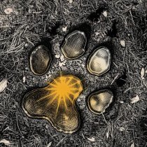 Гакрукс - Оковы