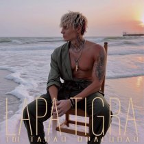 LAPA TIGRA - Ты такая красивая