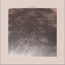 коллектив - замерзай