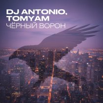 Dj Antonio, TomYam - Чёрный ворон