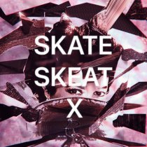 ЛЮБИТЬ!, SCANCA - SKATE SKEAT X