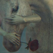 Poor Creature - Bury Me Not