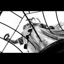 Antihoney - Dove (Doll Ver)