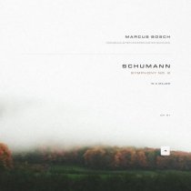 Robert Schumann, Marcus Bosch, Hochschulsymphonieorchester München - Symphony No. 2 in C Major, Op. 61: II. Scherzo: Allegro vivace