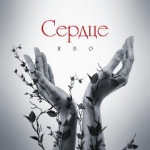 Иво - Сердце