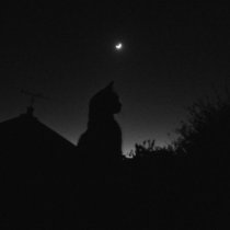 Money Flip, Willix - the night we met (Slowed)