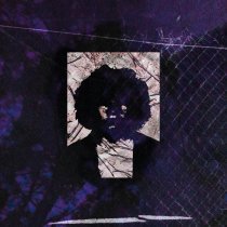 Шумоток - Я художник