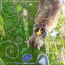 Execute - Дождь