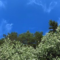 Elements of Dust, Neriberry - Sanyam