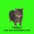 Tribeat - OIIA OIIA (Spinning Cat)