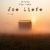 Tim Dian, ishoom - Joe Liefe