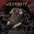 Destinity - Light up Your Sky