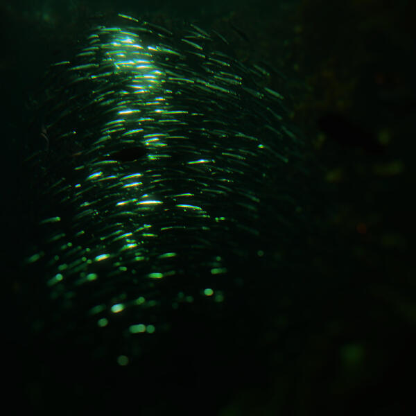 postdrome - From Heaven, from Nowhere