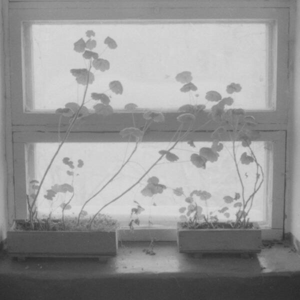 ZAKARAT - До завтра