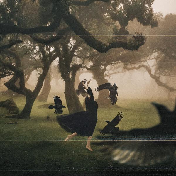 LITHIUM - Вороны